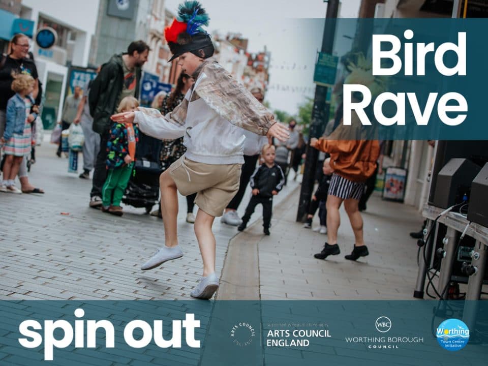 Spin Out: Bird Rave