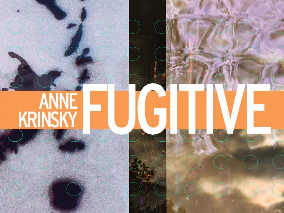 Ann Krinsky - Fugitive